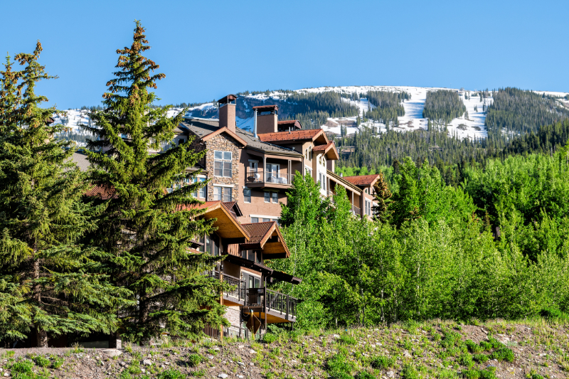 Mansion in the forest