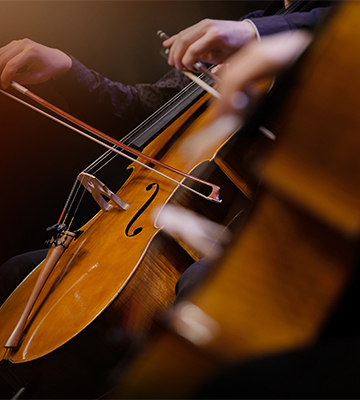 Art & Culture Events